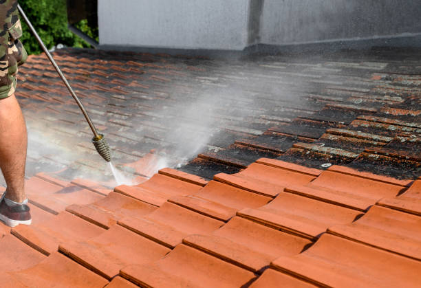 Best Roof Power Washing Services  in Feasterville, PA